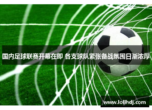 国内足球联赛开幕在即 各支球队紧张备战氛围日渐浓厚