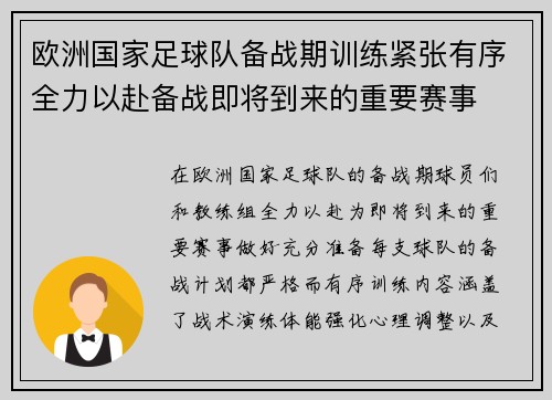 欧洲国家足球队备战期训练紧张有序全力以赴备战即将到来的重要赛事